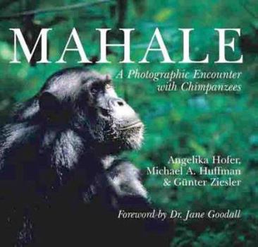 Hardcover Mahale: A Photographic Encounter with Chimpanzees Book