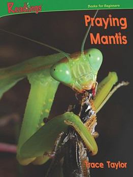 Paperback Praying Mantis Book