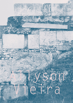 Hardcover Allyson Vieira: The Plural Present Book