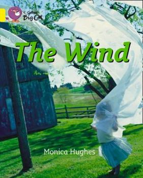 Paperback The Wind Book