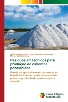 Paperback Resíduos amazônicos para produção de cimentos pozolânicos [Portuguese] Book