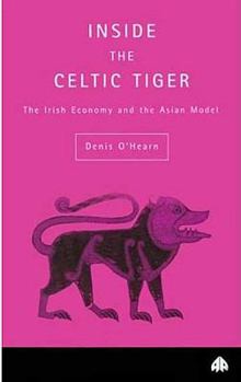 Paperback Inside the Celtic Tiger Book