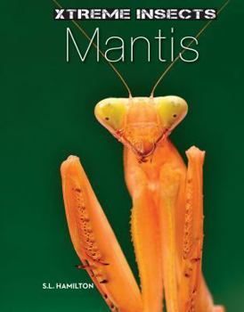 Mantis - Book  of the Xtreme Insects