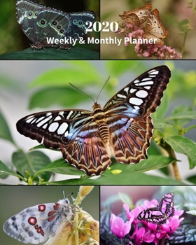 Paperback 2020 Weekly and Monthly Planner: Butterflies Collage - Monthly Calendar with U.S./UK/ Canadian/Christian/Jewish/Muslim Holidays- Calendar in Review/No Book