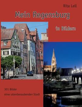 Paperback Mein Regensburg: in Bildern [German] Book