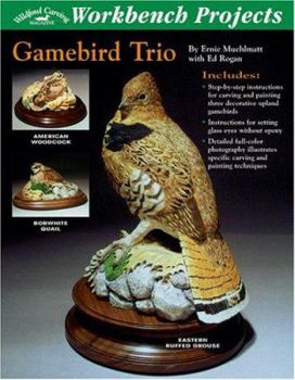 Spiral-bound Gamebird Trio Book
