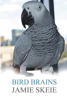 Paperback Bird Brains Book