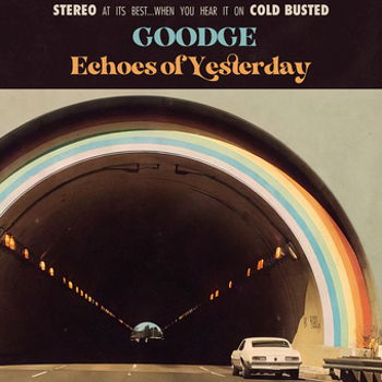 Vinyl Echoes Of Yesterday Book