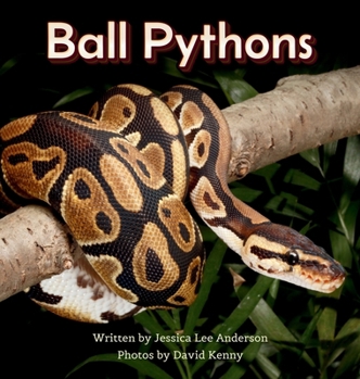 Hardcover Ball Pythons Book