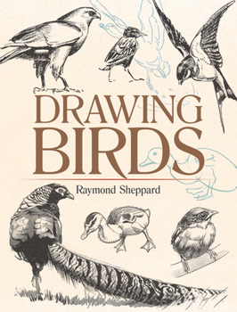 Paperback Drawing Birds Book