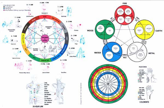 Poster Touch for Health Handy Assessment Chart: With 111 Metaphors on Reverse Side Book