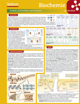 Misc. Lerntafel: Biochemie Im Überblick [German] Book