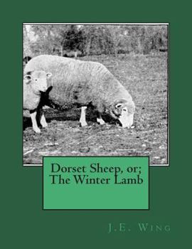 Paperback Dorset Sheep, or; The Winter Lamb Book