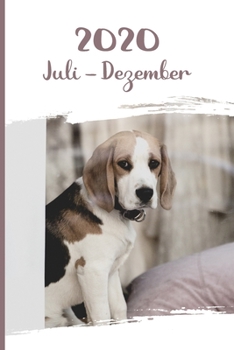 Kalender 2020: Beagle Hunde Tageskalender 2. Halbjahr Juli Dezember ca DIN A5 weiß über 190 Seiten (German Edition)