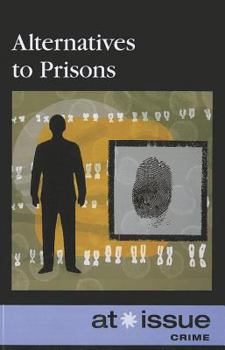 Paperback Alternatives to Prisons Book