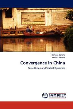 Paperback Convergence in China Book