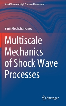 Hardcover Multiscale Mechanics of Shock Wave Processes Book