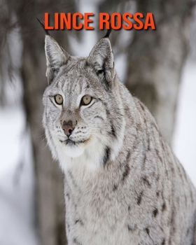 Lince rossa: Immagini bellissime e fatti interessanti Libro per bambini sui Lince rossa