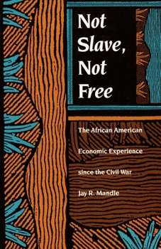 Not Slave, Not Free: The African American Economic Experience Since the Civil War