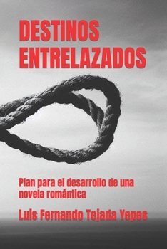 DESTINOS ENTRELAZADOS: Plan para el desarrollo de una novela romántica (Spanish Edition)