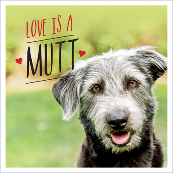 Hardcover Love Is a Mutt: A Dog-Tastic Celebration of the World's Cutest Mixed and Cross Breeds Book