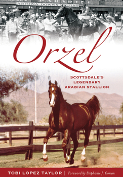 Paperback Orzel: Scottsdale's Legendary Arabian Stallion Book