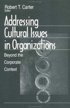 Paperback Addressing Cultural Issues in Organizations: Beyond the Corporate Context Book