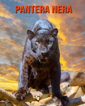 Paperback Pantera nera: Immagini bellissime e fatti interessanti Libro per bambini sui Pantera nera [Italian] Book