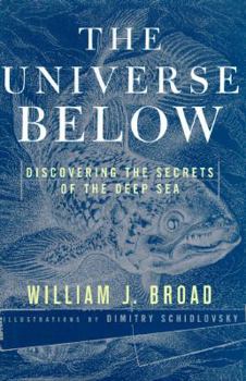 Hardcover The Universe Below Book