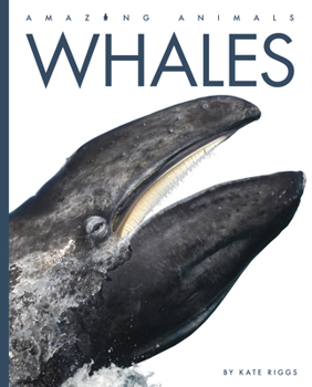 Whales - Book  of the Amazing Animals