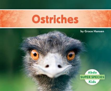 Ostriches - Book  of the Super Species