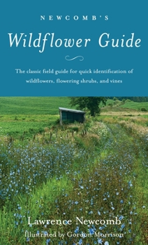 Paperback Newcomb's Wildflower Guide Book