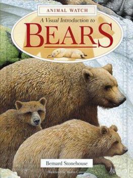 Hardcover A Visual Introduction to Bears Book