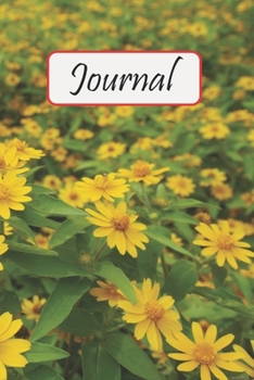 Paperback Journal: Lined Pages Notebook / Diary - 6x9 inches (DIN 5), 100 Pages Book