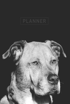 Planner: Boxer 1 Year Daily Planner (12 Months) | 2020 - 2021 | 365 Pages for Planning | January 20 - December 20 | Appointment Calendar Schedule | Plan Each Day Set Goals & Get Stuff Done