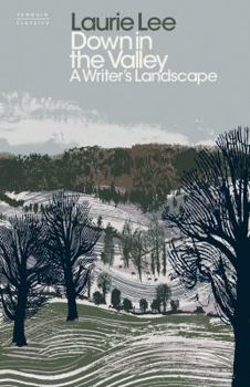 Hardcover Down in the Valley: A Writer's Landscape Book