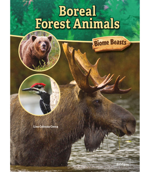 Paperback Boreal Forest Animals Book