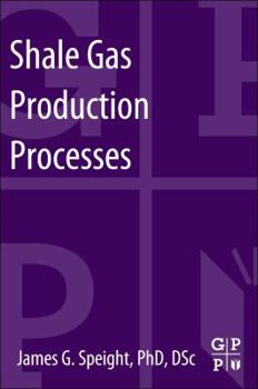 Paperback Shale Gas Production Processes Book