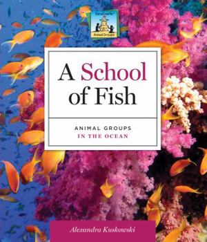 Library Binding School of Fish: Animal Groups in the Ocean: Animal Groups in the Ocean Book