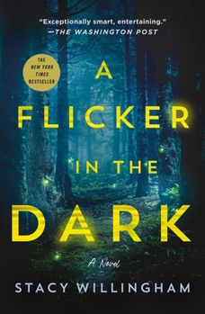 Paperback A Flicker in the Dark Book