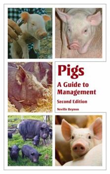 Paperback Pigs: A Guide to Management Book