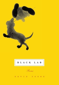 Paperback Black Lab: Poems Book