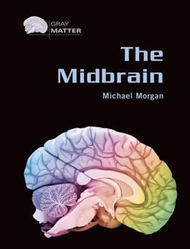 Library Binding The Midbrain Book