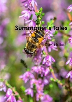 Paperback Summoner's Tales Book