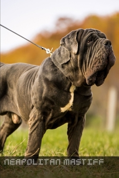 Paperback Neapolitan Mastiff: Complete breed guide Book