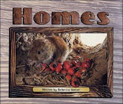 Paperback Homes: First Snow (Storyteller Non-fiction) Book