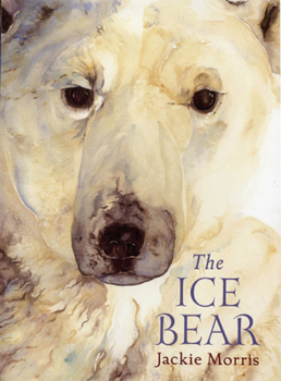 Hardcover The Ice Bear Book