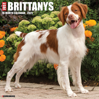 Calendar Just Brittanys 2025 12 X 12 Wall Calendar Book