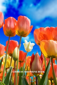 Address and Phone Book: (with discreet password journal section) Beautiful Floral Design Book, Organized in Alphabetical Order, Discreet internet page ... month by month birthday/anniversary section.