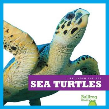 Sea Turtles - Book  of the Life Under the Sea